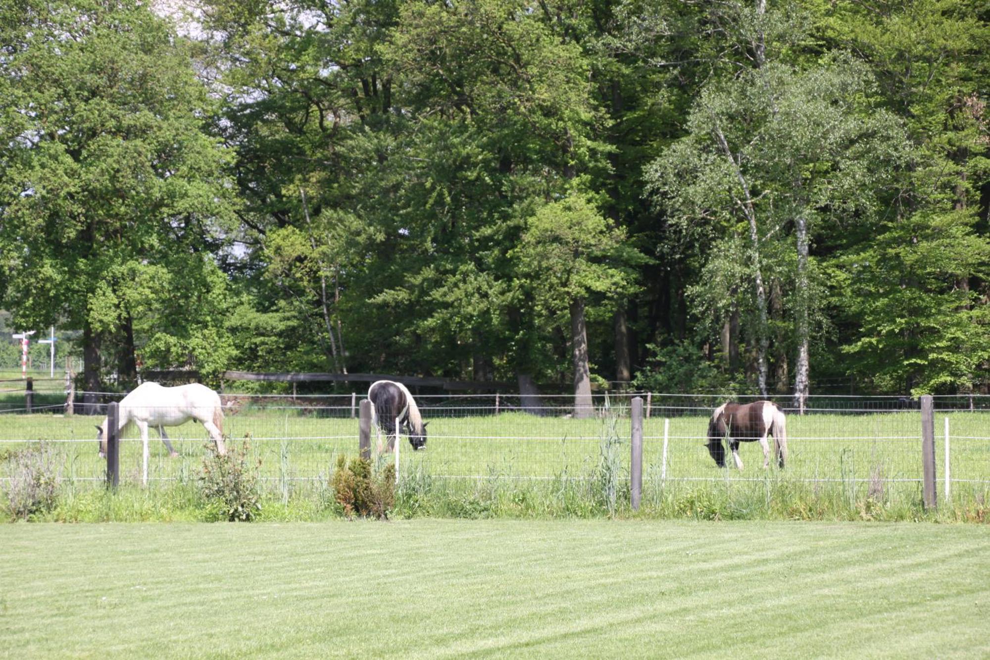 B&B Hoeve De Veldmaat Haaksbergen Buitenkant foto